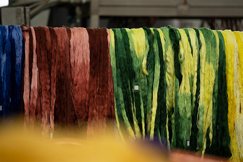 Special dyeing workshop (section dyeing)